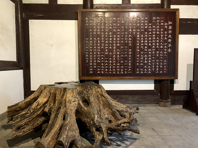lizawang.com
