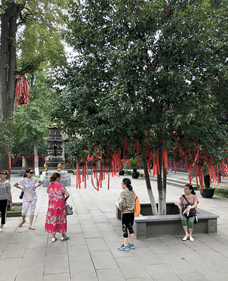 lizawang.com