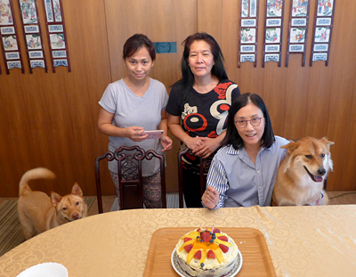lizawang.com