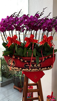 lizawang.com