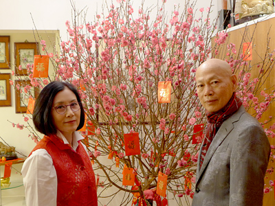 lizawang.com
