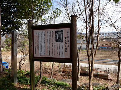 lizawang.com