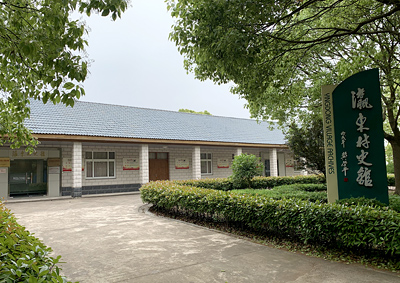 lizawang.com