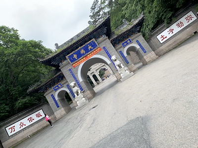 lizawang.com
