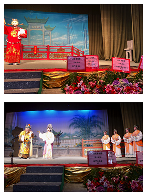 lizawang.com