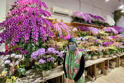 lizawang.com