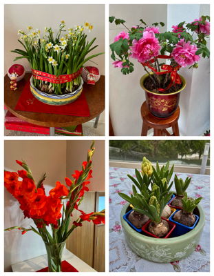 lizawang.com
