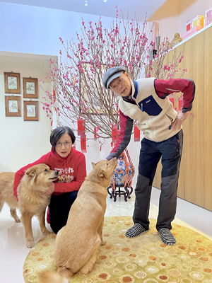 lizawang.com