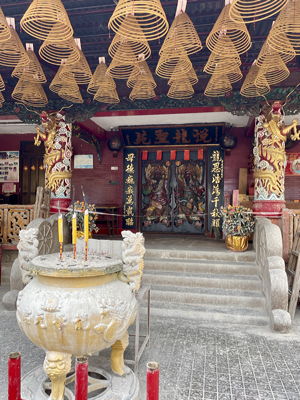 lizawang.com