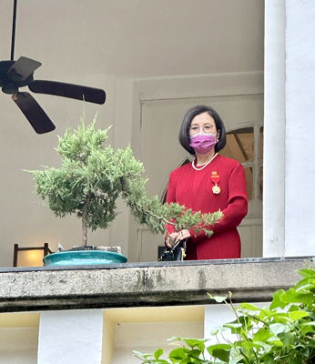 lizawang.com