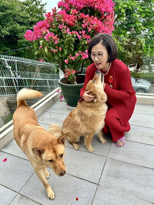 lizawang.com