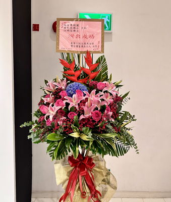 lizawang.com