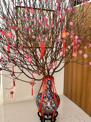 lizawang.com