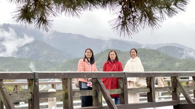 lizawang.com