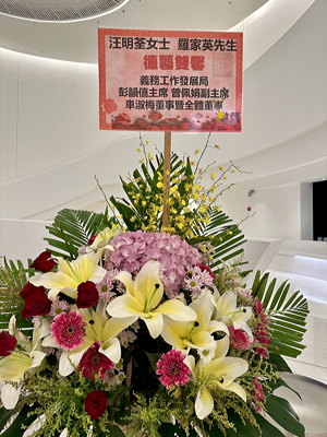 lizawang.com
