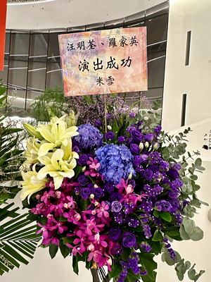 lizawang.com
