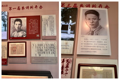 lizawang.com