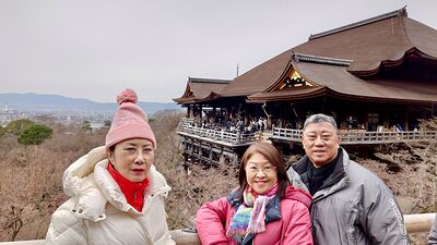 lizawang.com