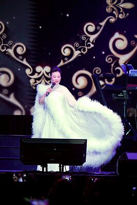 lizawang.com