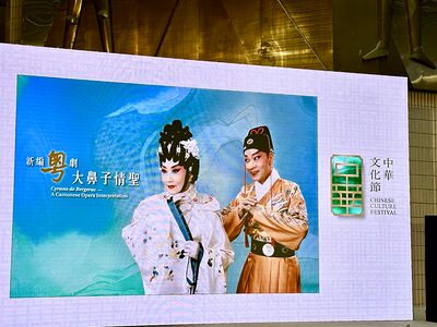 lizawang.com