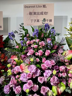 lizawang.com