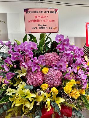 lizawang.com