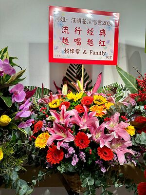 lizawang.com