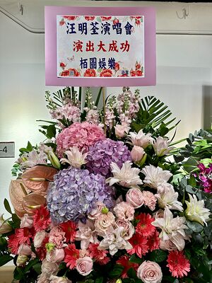 lizawang.com