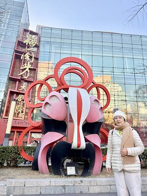 lizawang.com