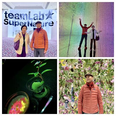 lizawang.com