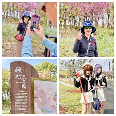 lizawang.com