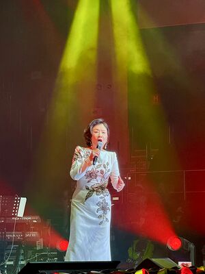 lizawang.com